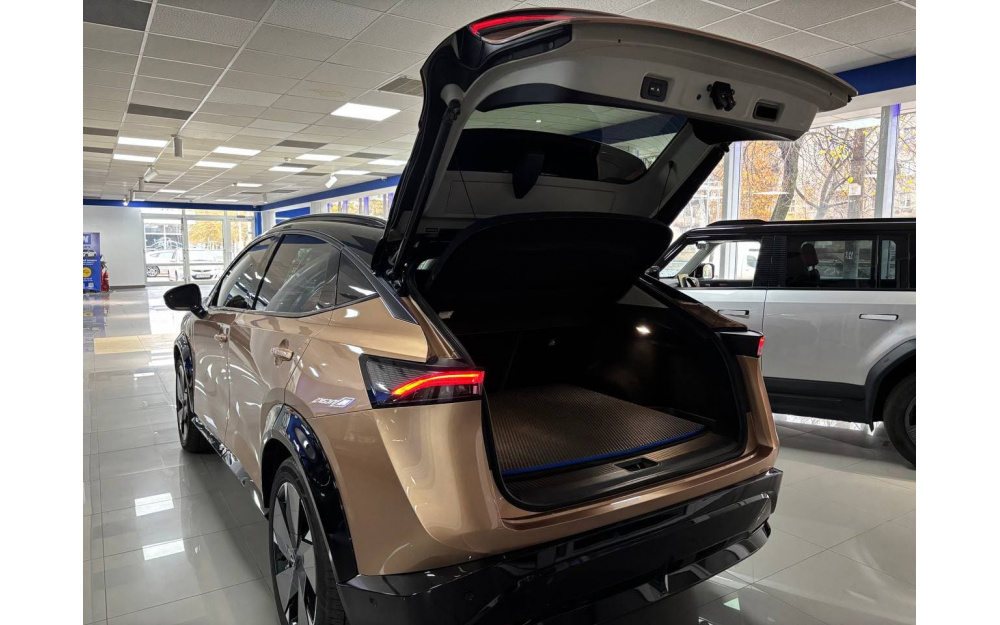 Ariya - 10 Ariya - 10