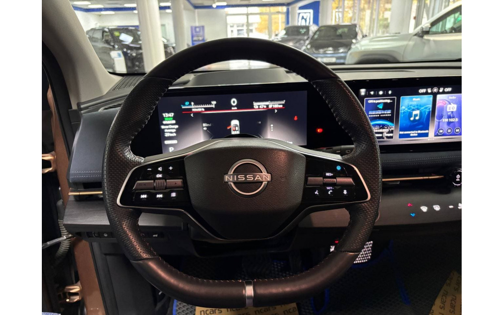 Ariya - 13 Ariya - 13