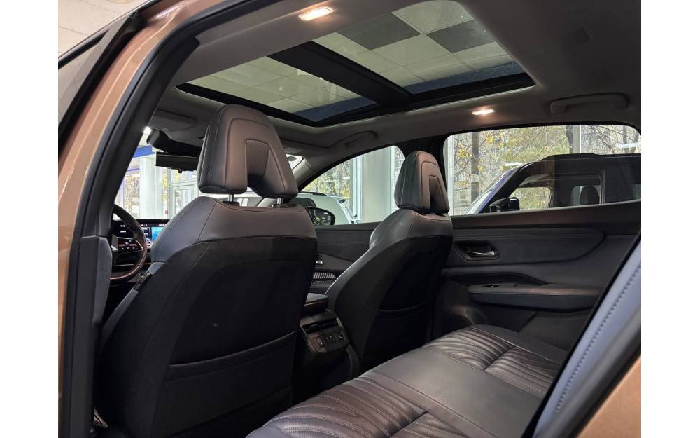 Ariya - 21 Ariya - 21