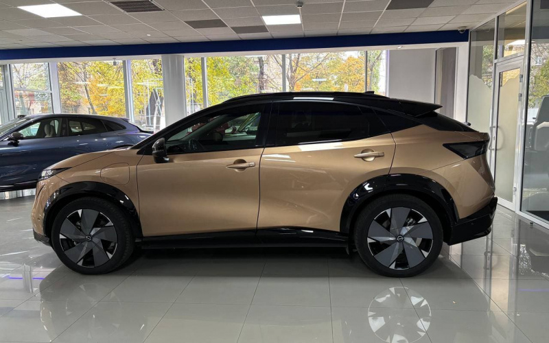 Nissan Ariya фото задний диван