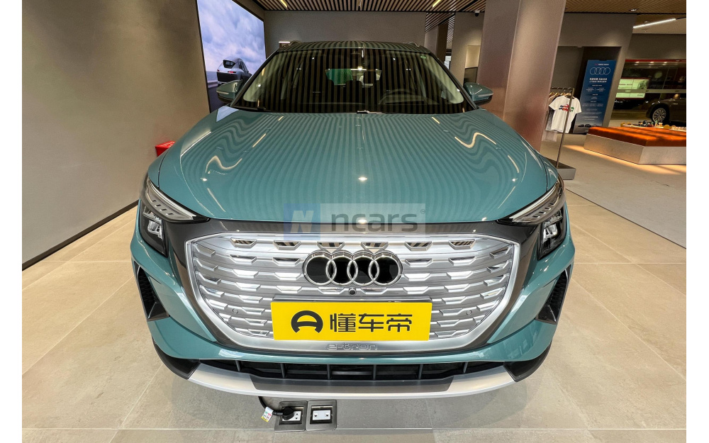 Q5 e-tron - 2