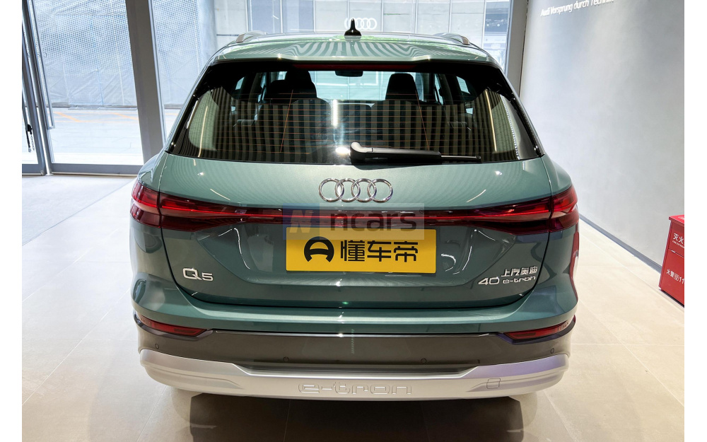 Q5 e-tron - 6