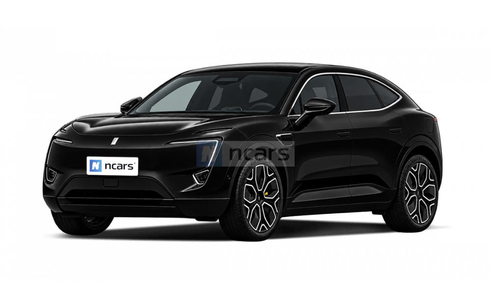 39kWh MAX 2025 (mileage 11000 km)
