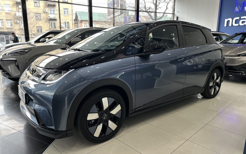 BYD Dolphin фото задній диван