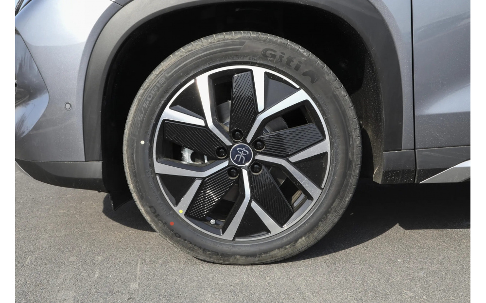 Song L DM-i 2025 - 9