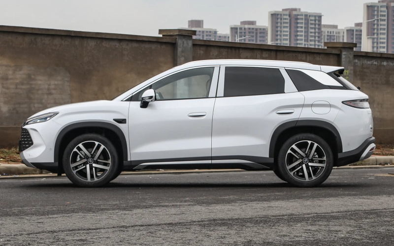 BYD Song L DM-i фото задній диван