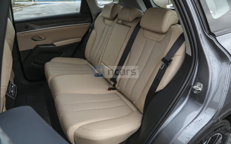BYD Song Pro DM-i фото задний диван