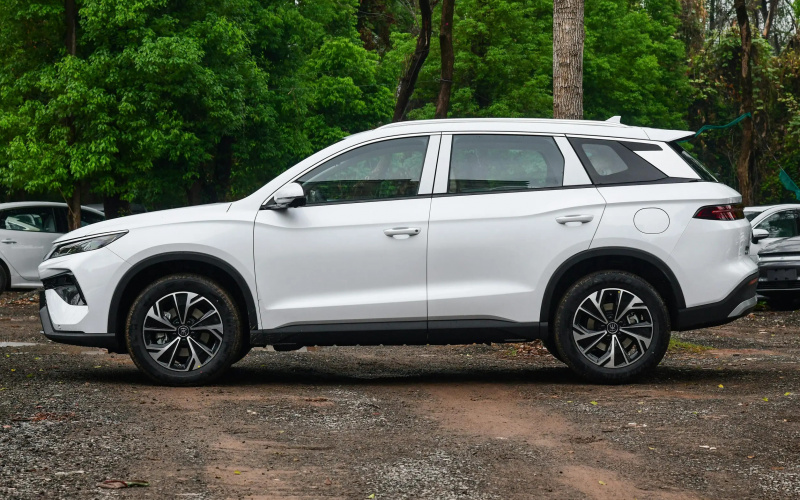 BYD Song Pro DM-i фото задній диван