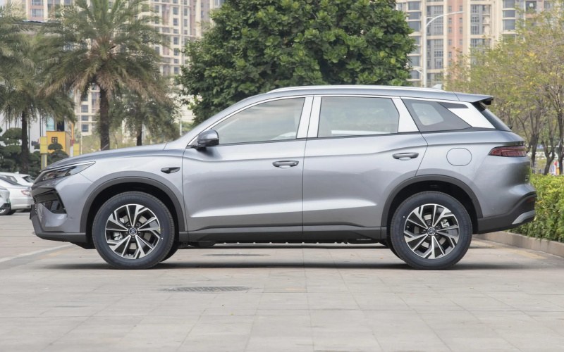 BYD Song Pro DM-i фото задній диван