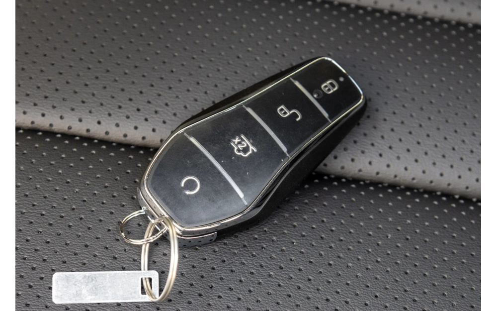 Sea Lion 05 DM-i - 16