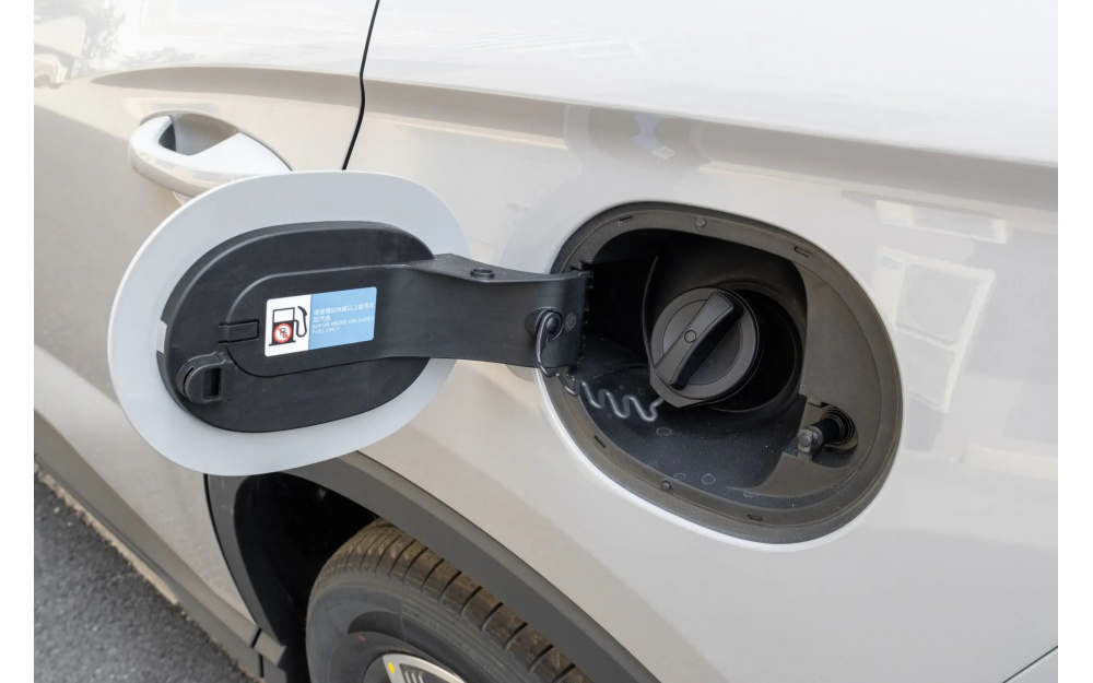 Sea Lion 05 DM-i - 13