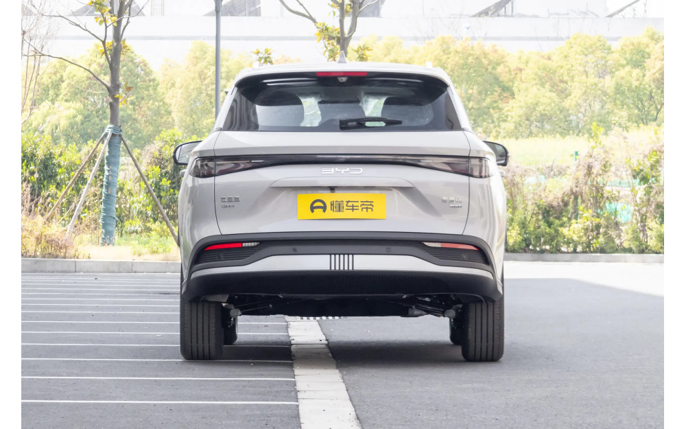 Sea Lion 05 DM-i - 6