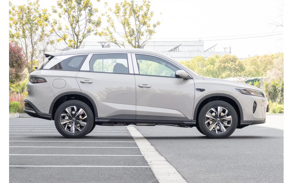 Sea Lion 05 DM-i - 8