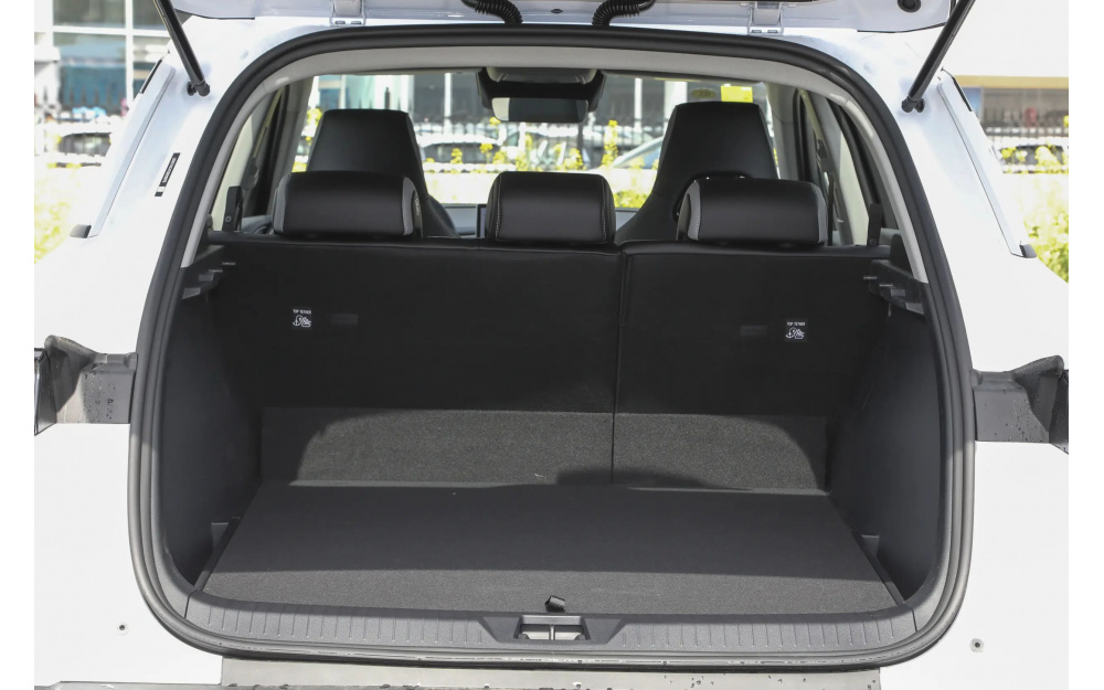 Sea Lion 05 DM-i - 27