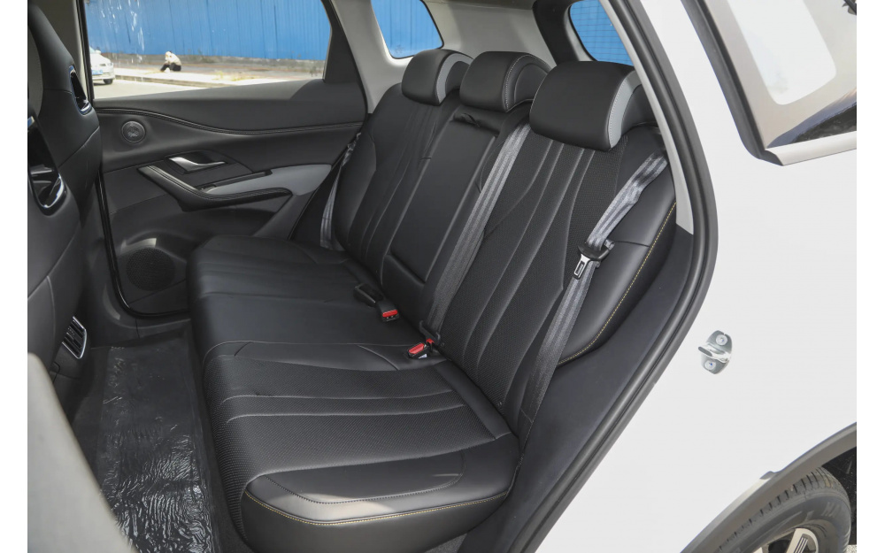 Sea Lion 05 DM-i - 23