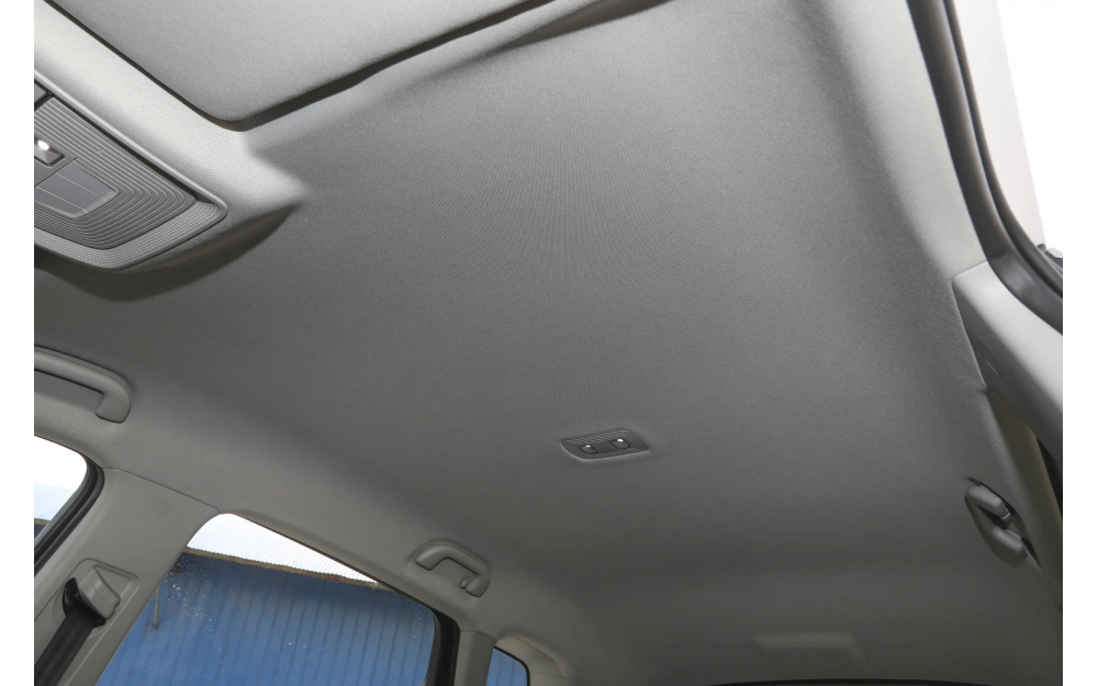 Sea Lion 05 DM-i - 24