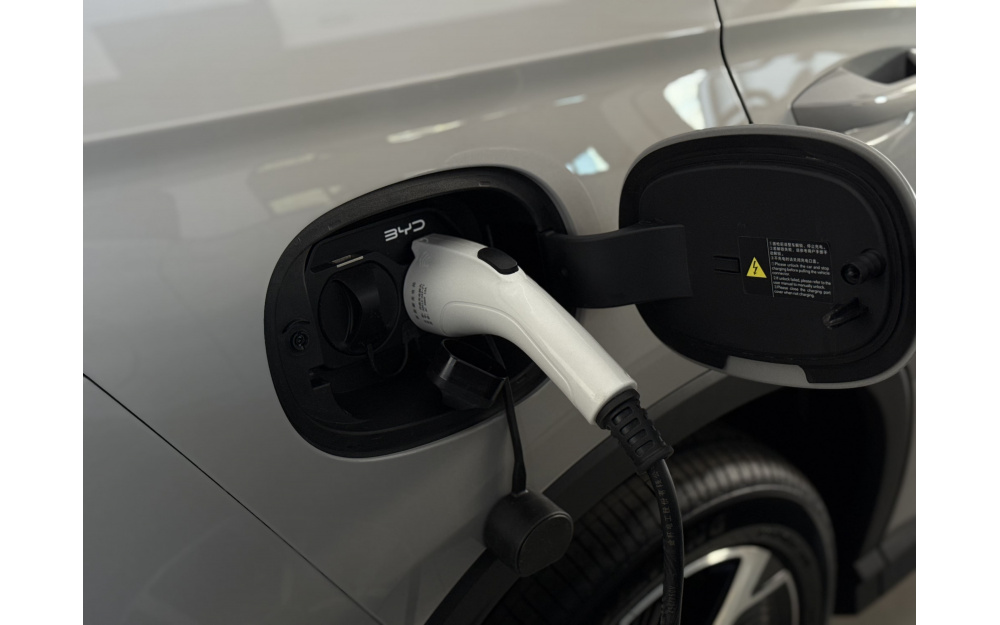 Sea Lion 05 DM-i - 14