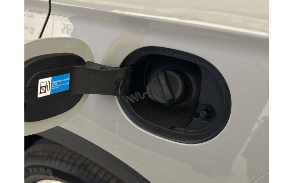 Sea Lion 05 DM-i - 13