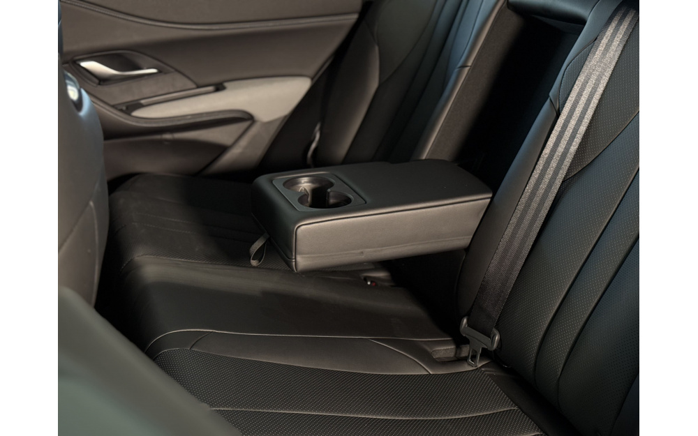 Sea Lion 05 DM-i - 28