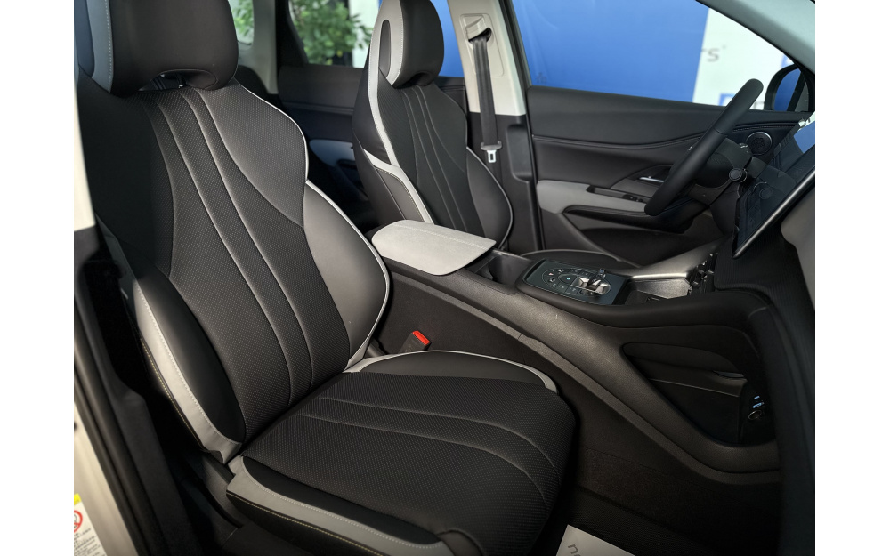 Sea Lion 05 DM-i - 29