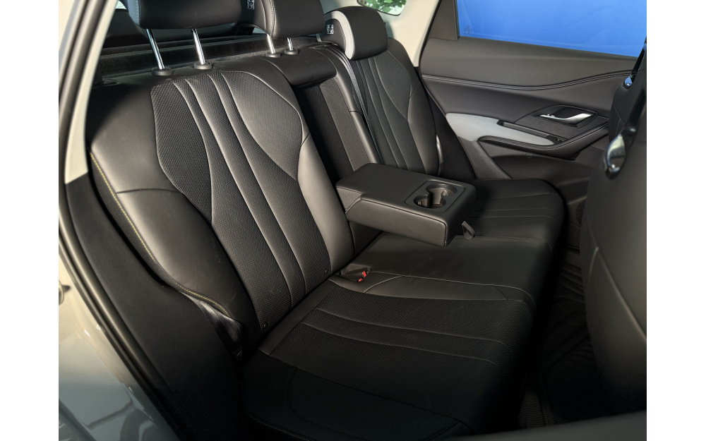 Sea Lion 05 DM-i - 31