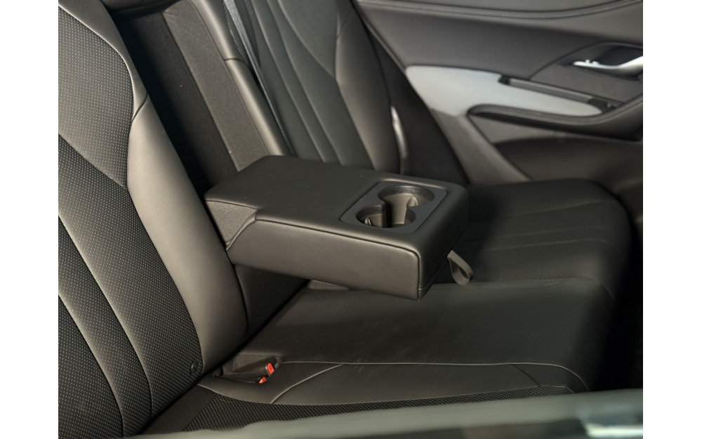 Sea Lion 05 DM-i - 32