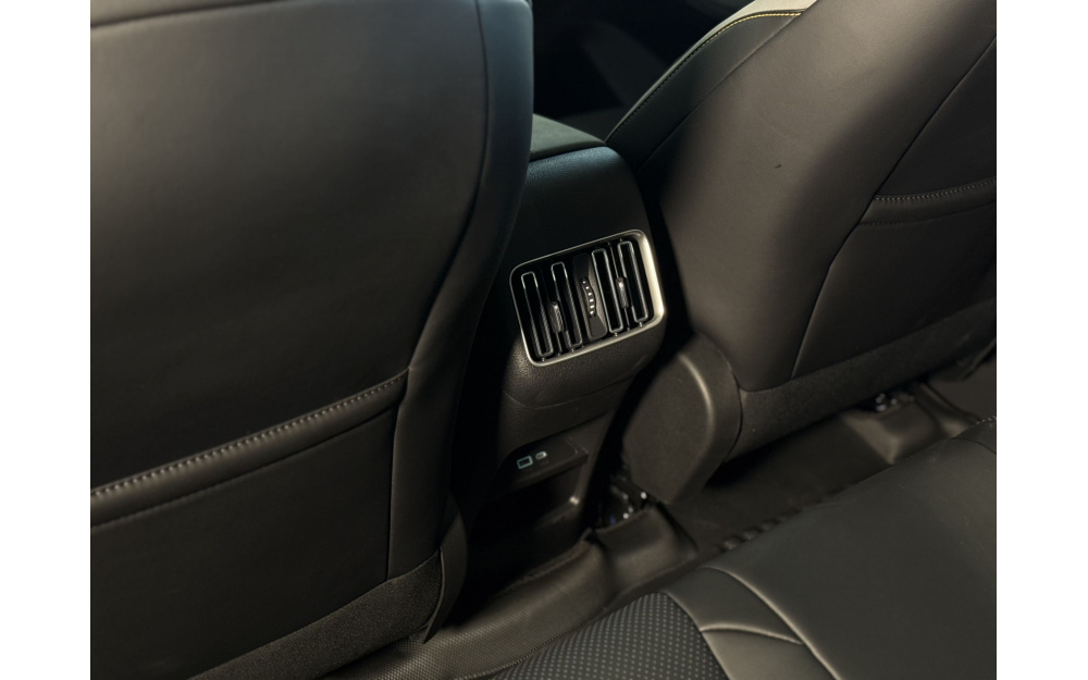 Sea Lion 05 DM-i - 33