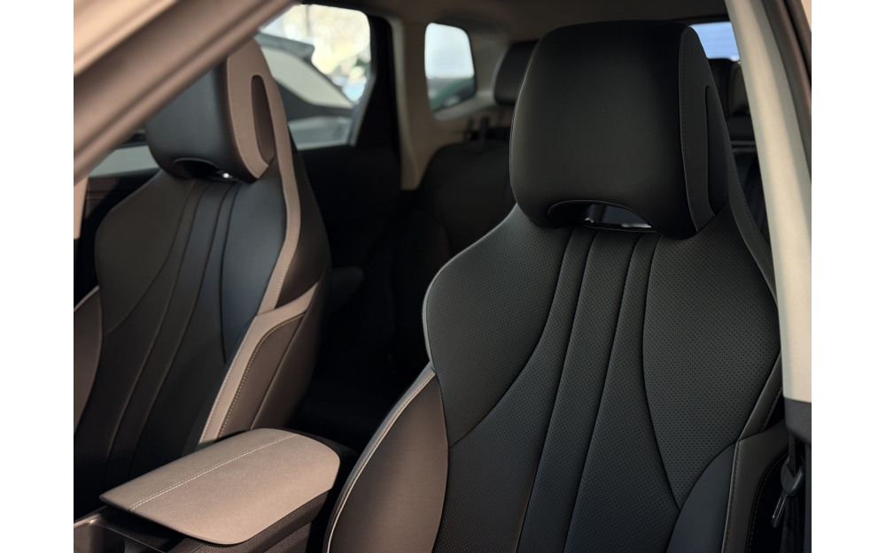 Sea Lion 05 DM-i - 26