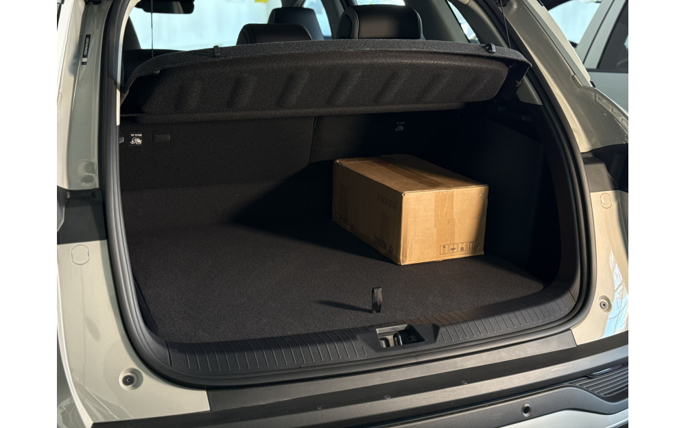 Sea Lion 05 DM-i - 39