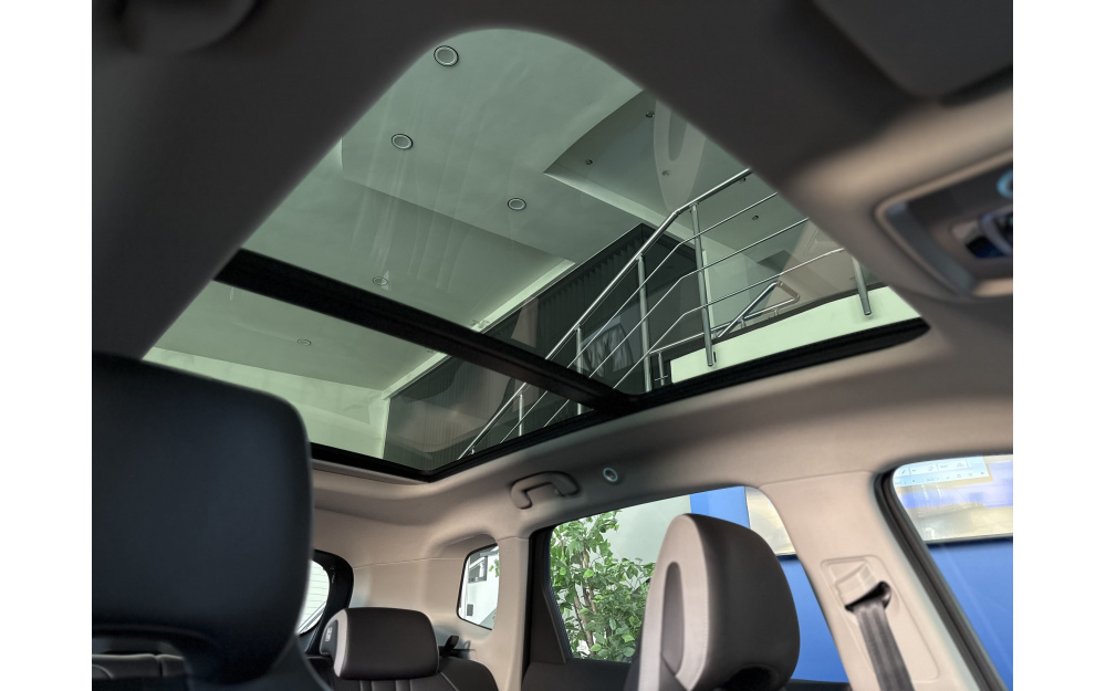 Sea Lion 05 DM-i - 34