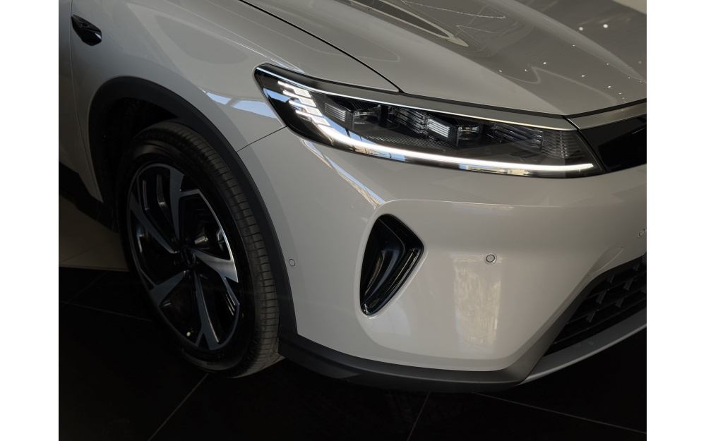 Sea Lion 05 DM-i - 8