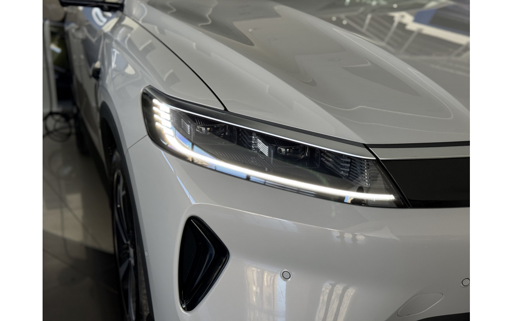 Sea Lion 05 DM-i - 9