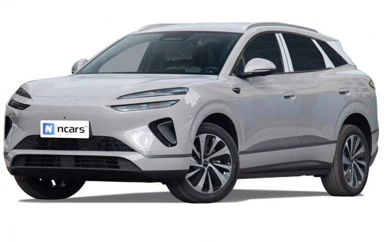 BYD SeaLion 06