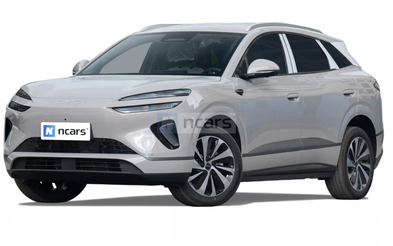 BYD Sea Lion 06 DM