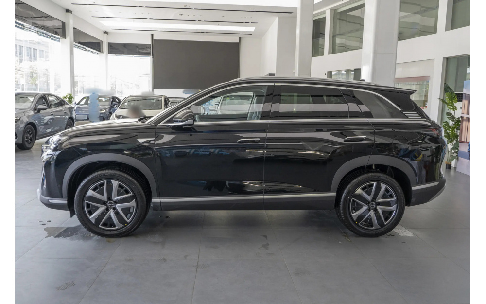 Sea Lion 07 DM-i - 4