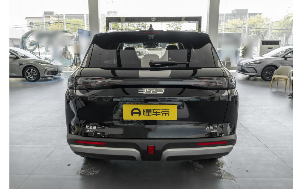 Sea Lion 07 DM-i - 6