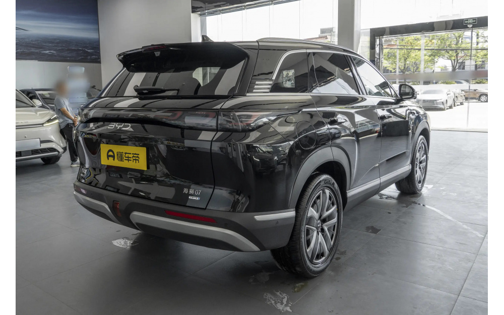 Sea Lion 07 DM-i - 7