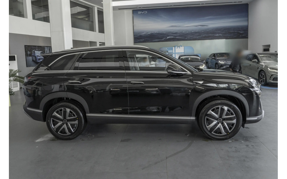 Sea Lion 07 DM-i - 8