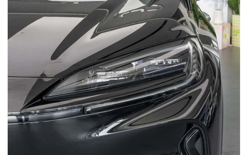 Sea Lion 07 DM-i - 10