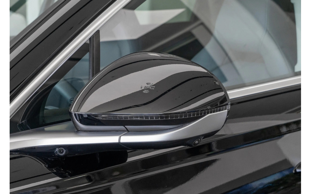 Sea Lion 07 DM-i - 12