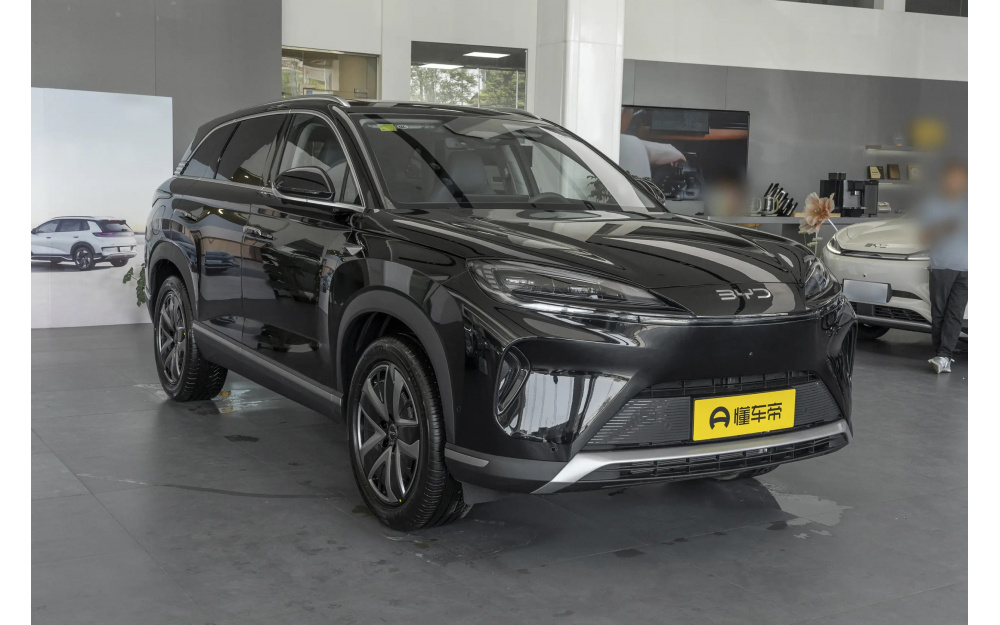 Sea Lion 07 DM-i - 3