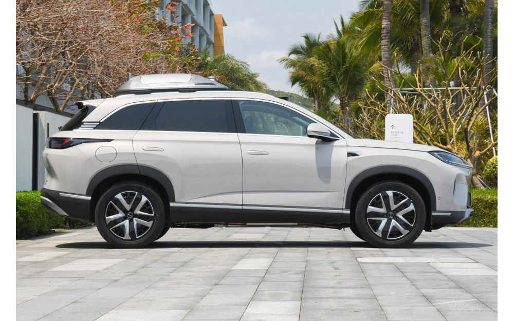 Sea Lion 07 DM-i - 8