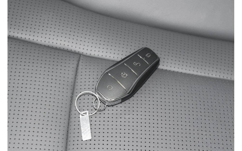 Sea Lion 07 DM-i - 17