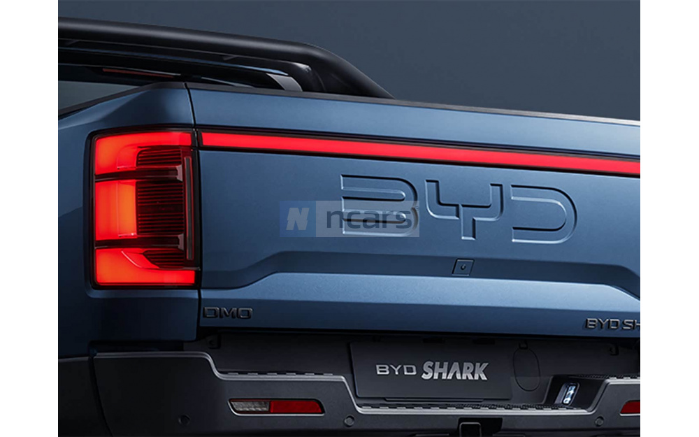 Shark 6 DM - 7