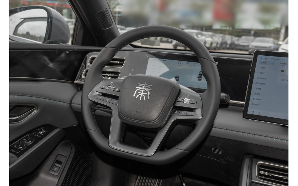 Qin L DM-i 2025 - 19