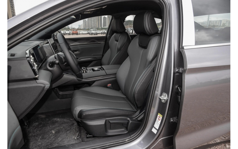 Qin L DM-i 2025 - 22