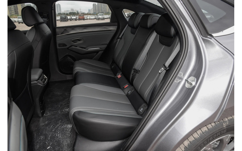 Qin L DM-i 2025 - 23