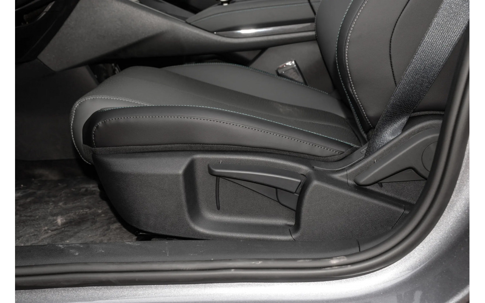 Qin L DM-i 2025 - 25