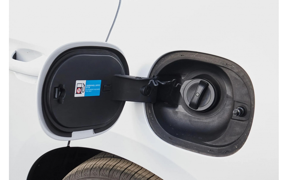 Qin L DM-i 2025 - 13