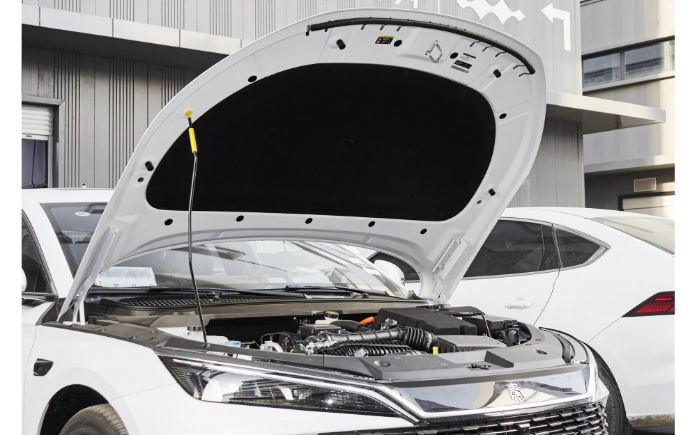 Qin L DM-i 2025 - 16